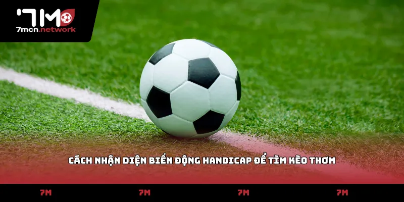 Cách nhận diện biến động handicap để tìm kèo thơm