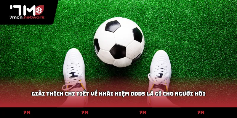 Giải thích chi tiết về khái niệm odds là gì cho người mới