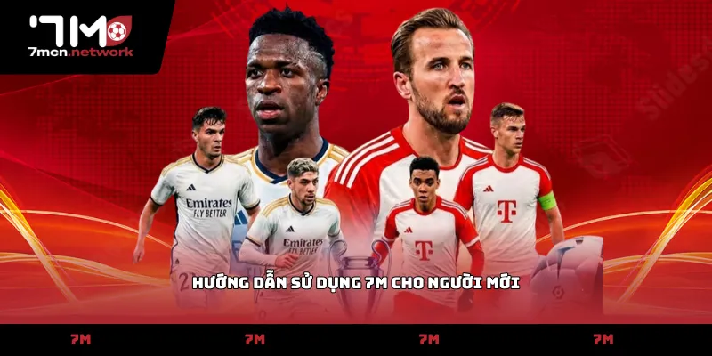 Hướng dẫn sử dụng 7M cho người mới