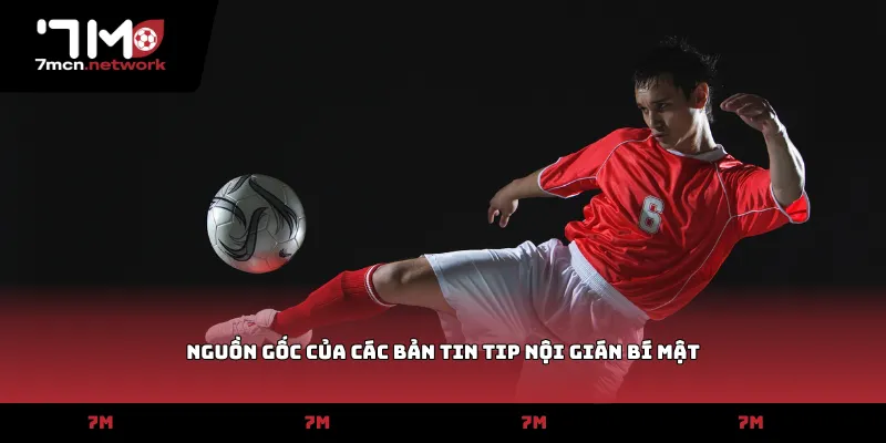 Nguồn gốc của các bản tin tip nội gián bí mật