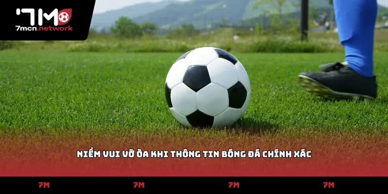 Niềm vui vỡ òa khi thông tin bóng đá chính xác