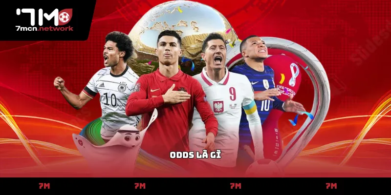odds là gì