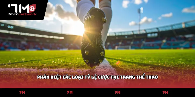 Phân biệt các loại tỷ lệ cược tại trang thể thao