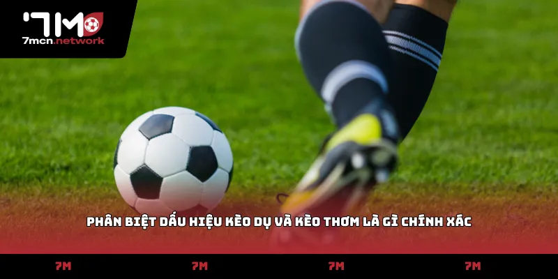 Phân biệt dấu hiệu kèo dụ và kèo thơm là gì chính xác
