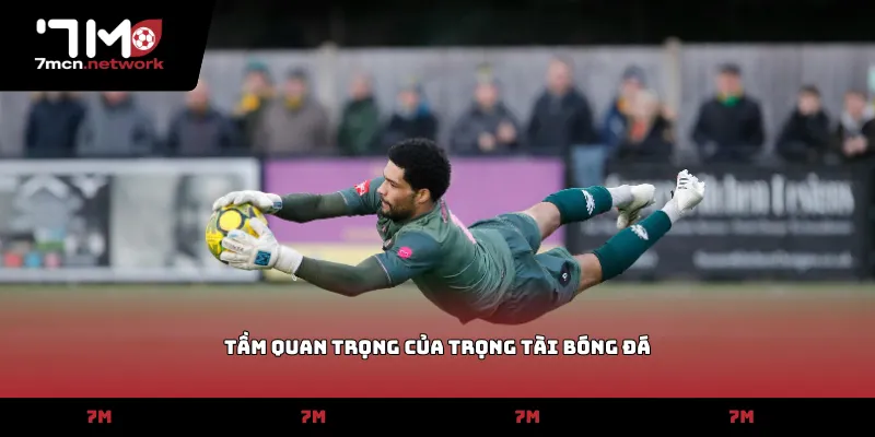 tầm quan trọng của trọng tài bóng đá