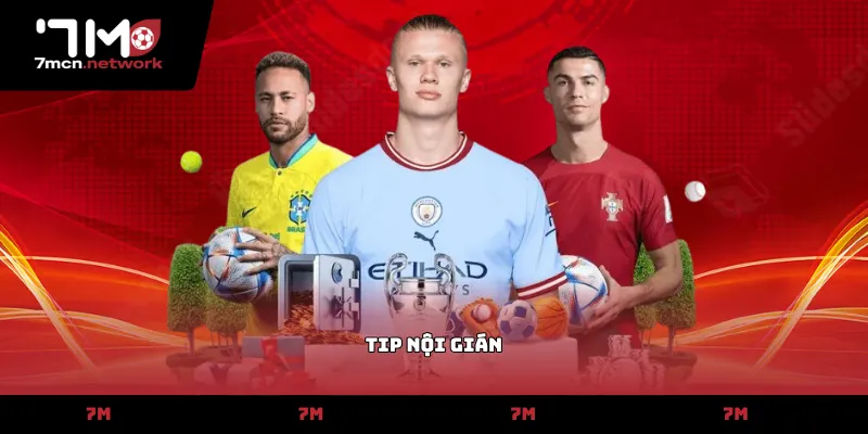 tip nội gián