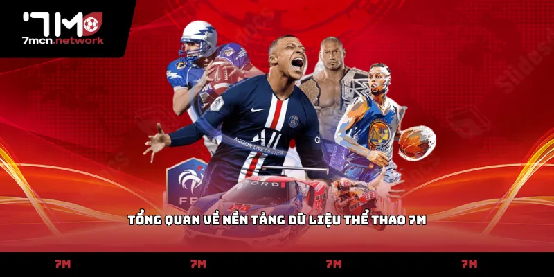 Tổng quan về nền tảng dữ liệu thể thao 7M