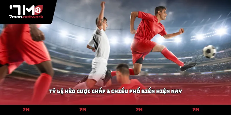 Tỷ lệ kèo cược chấp 3 chiều phổ biến hiện nay